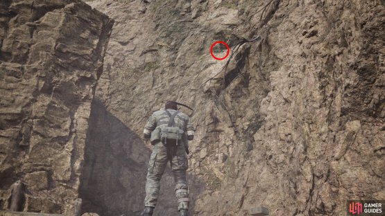 From the exit to Krasnogorje Mountain Base, head northeast to find a cubby to the south and look up at the cliff to find some roots.