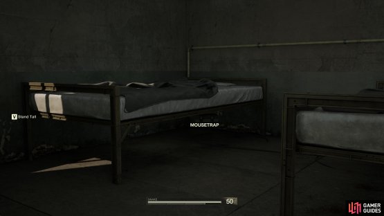 There are other spots where you can get more Mousetraps, 