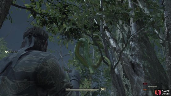 Before triggering the scene with The Boss, look up at this tree for a Green Tree Python.