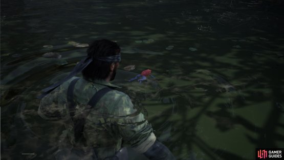 You can first find a Poison Dart Frog in Chyornyj Prud, swimming on top of the water near the southern end.