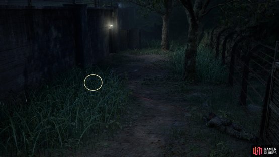 Look in the tall grass outside of the walls of the lab in Graniny Gorki.