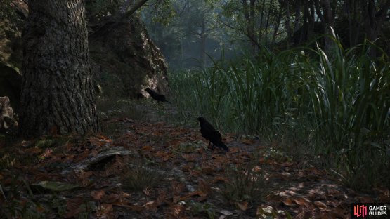The Sunda Whistling Thrush is first found in Dremuchij North in Virtuous Mission.