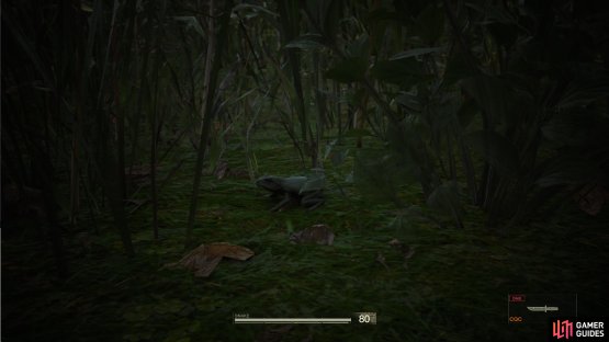 The Tree Frog is pretty common throughout the game, including the Dremuchij regions.