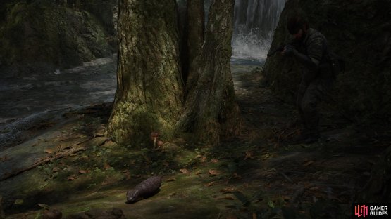 Once you reach Tikhogornyj and get your equipment back, go outside the waterfall to find it crawling next to a tree.