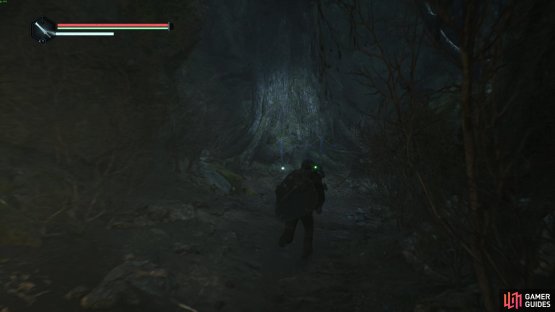 You can go to a grove up the hill from the mass grave where the grieving father buries his family. Image via Gamer Guides / Nacon.
