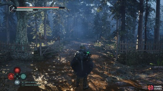 Use the key to open the gate to the forest.