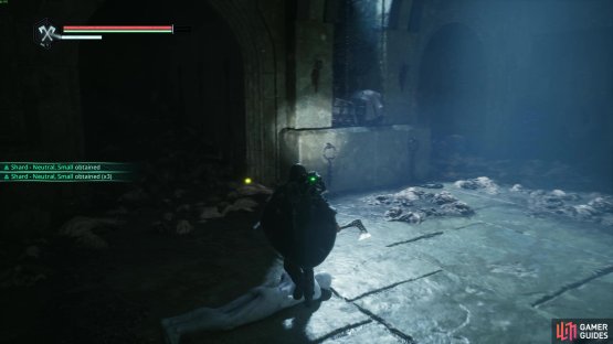 The first Medallion can be found in inside the Underground Ruin near to the locked Door. Image via Gamer Guides / Nacon.