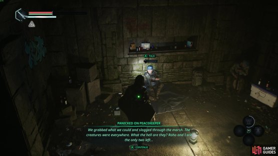 Go underneath the Obelisk and hand over the Pills and Sattellite Radio to the two ON Peacekeepers to get the completiong and rewards. Image via Gamer Guides / Nacon