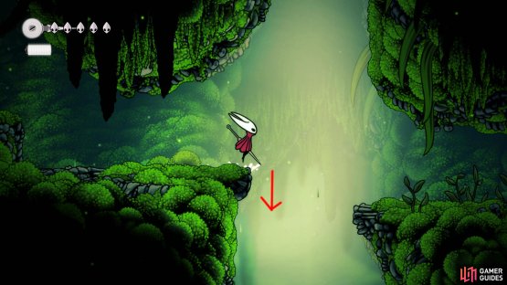 Drop down this hole at the entrance to the Ruined Temple. Image via Gamer Guides / Team Cherry.