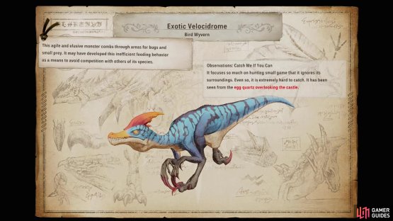 Talk to Ogden to start his first side story and he&rsquo;ll show you a letter about an Exotic Velocidrome.