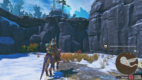 which will give you a message any time you&rsquo;re close to an undiscovered Poogie!