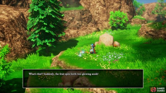 You&rsquo;ll find some seeds during the story that are eventually used to craft the Soul Sigil,