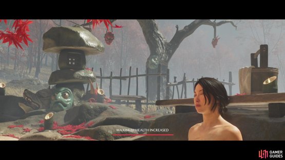 Hot Springs will boost your max health,