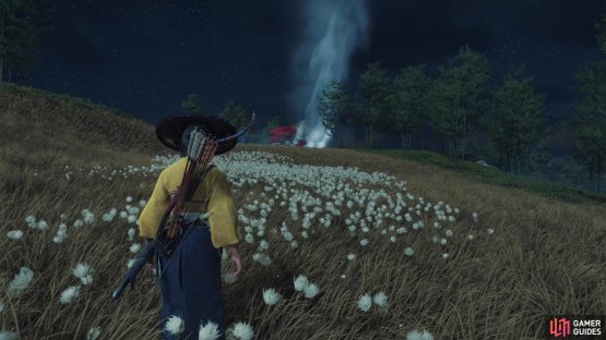 Visit at night, under a starry sky, to complete the bonus objective.