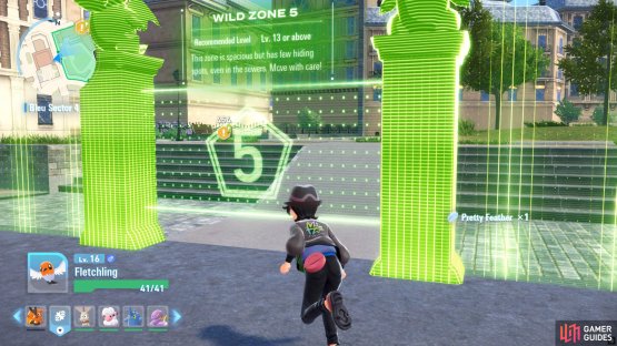 The Wild Zone shows the recommended Level.
