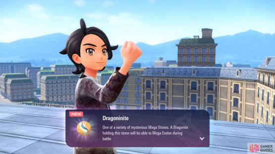 Dragonite&rsquo;s mega stone