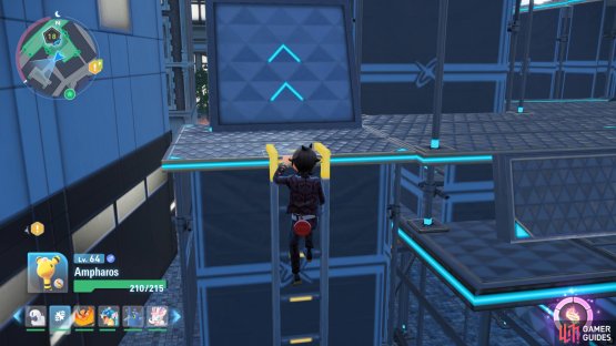 Climb this scaffolding