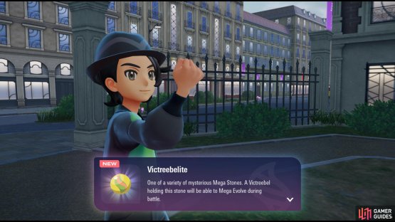 Victreebel&rsquo;s mega stone