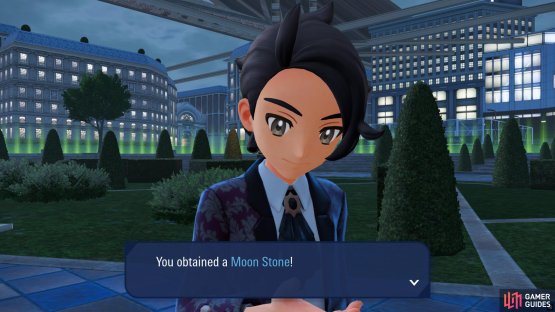 Moon Stone obtained