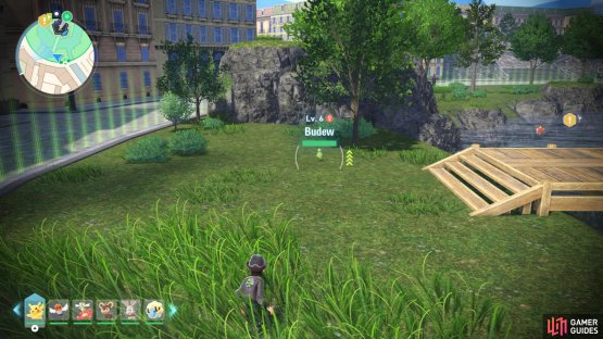 Head to Wild Zone 2