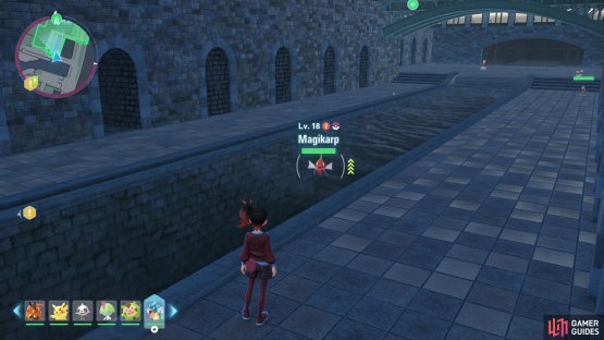 Deplete Magikarp&rsquo;s Health with Electric or Grass-based moves