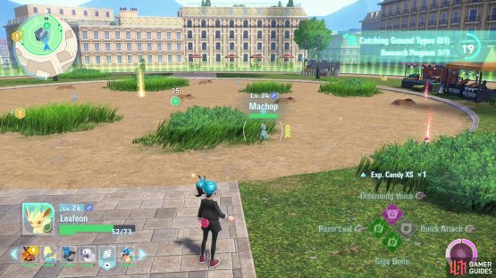 Deplete Machop&rsquo;s Health with Flying, Psychic or Fairy-based moves.