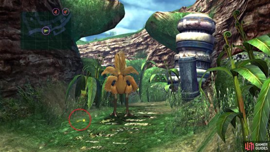 This feather here will get you to two chests