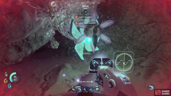 just be wary of the hostile fauna, who seems to rather like their viral habitat!