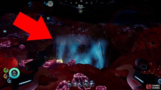 then turn northeast towards more Coral Domes near the surface - there&rsquo;s a pit with a current that&rsquo;ll take you down into a cavern.