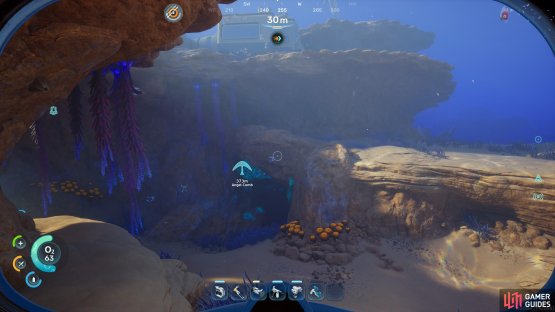 Find a cave under Camp One,