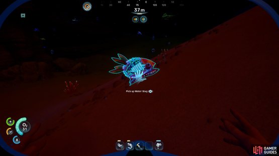 The best way to get water in the early game is to catch Water Slugs,
