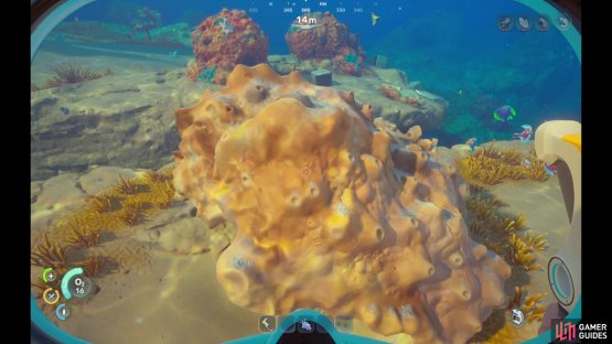 To find Quartz in the world, especially in the beginning, look for various coral formations.