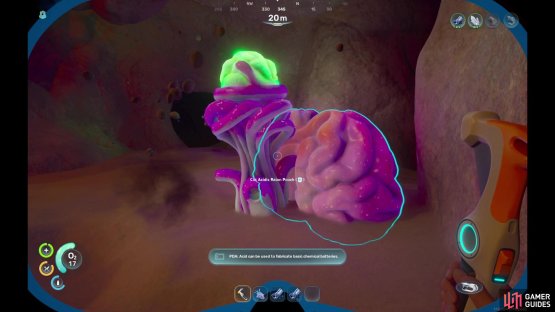 You&rsquo;ll need the Multitool in order to get the Acidic Raion Pouches from these flora.