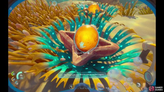 The Lucifer Rotsac is easy to find, once you know what to look for.