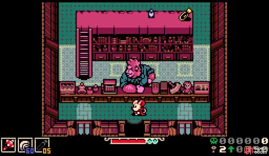 Purchase one of the two far items to have the ladder there inside Pinky&rsquo;s Parlor.