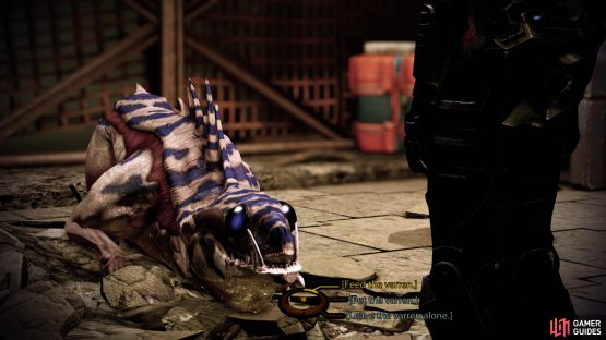 After completing the Pyjak minigame, you can buy some meat and feed Urz,