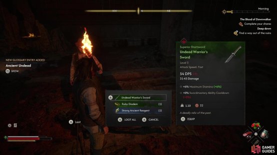 and be sure to loot it for a green sword.