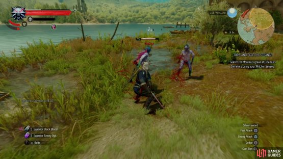 Kill some Drowners in the flooded graveyard near the Lebioda&rsquo;s Gate signpost,