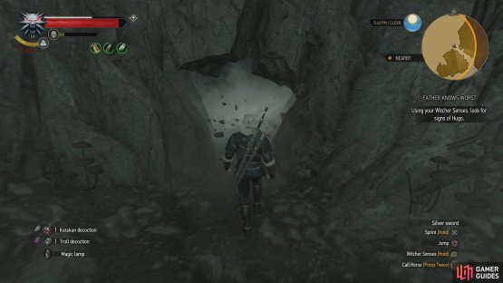 Use Aard to destroy a wall,