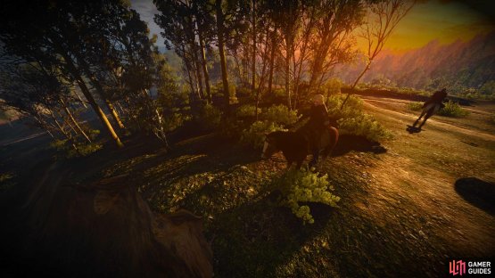 By pulling the camera out and tweaking some other details you can get some stunning shots.