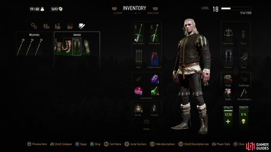 and put on some nice clothes for brownie points with Triss.