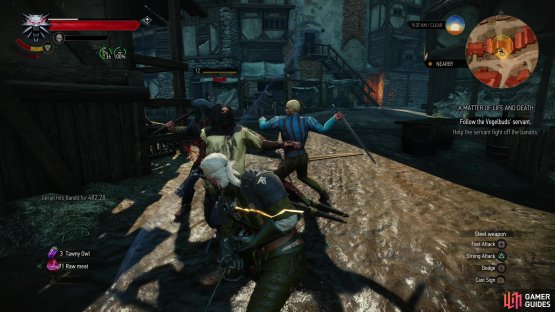 then fend off some Witch Hunters when attacked.