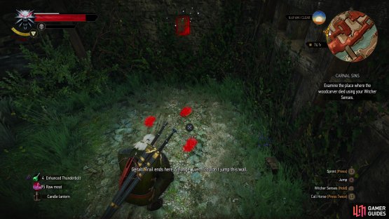 When you&rsquo;re free to investigate, examine some tracks,