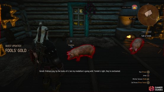 At Yontek&rsquo;s prompting, use your Witcher senses and examine the pigs,