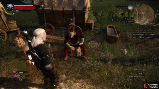You can find an elven merchant northwest of Carsten,