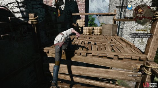 starting a race where you&rsquo;ll learn how to run, climb, vault and generally move around as Geralt.