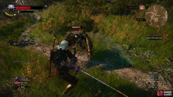 Kill some Harpies,