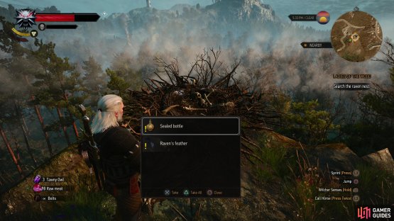then loot their nest to obtain a Sealed Bottle and a Raven&rsquo;s Feather.