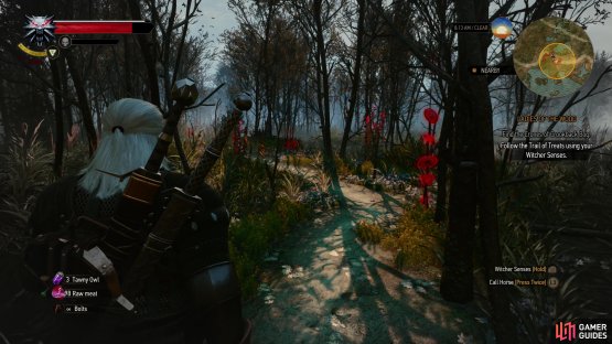 Use your Witcher senses to follow the trail of treats,