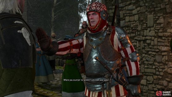 Enter Novigrad via any gate and you&rsquo;ll see that the Witch Hunters are cracking down on their anti-mage activities.